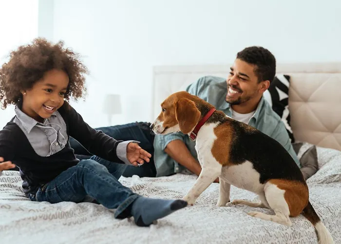 Aparthotel Citadines Eurometropole 4*